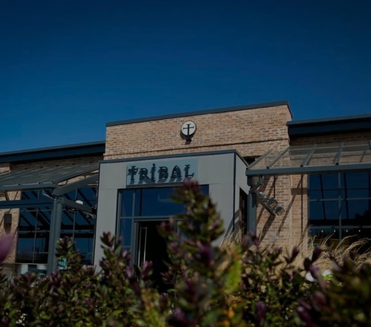 Tribal Bar and Grill in HU7 3BD